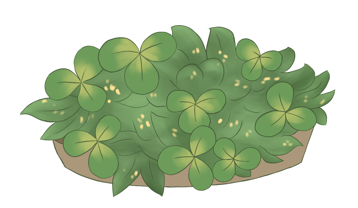 Cloverpam