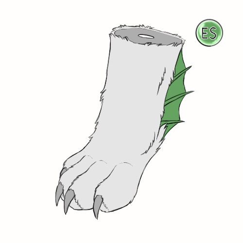 Leg Fins
