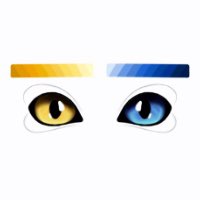 Heterochromia
