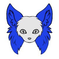Normal Feline Ears