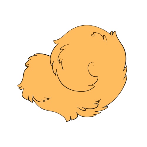Curled Tail