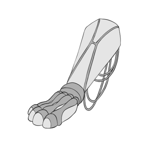 Prosthetic