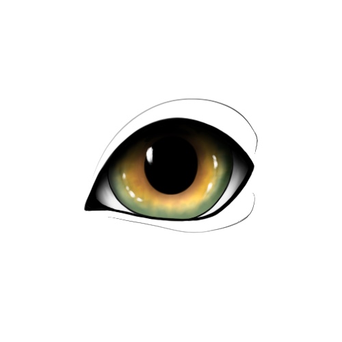 Hazel Eyes