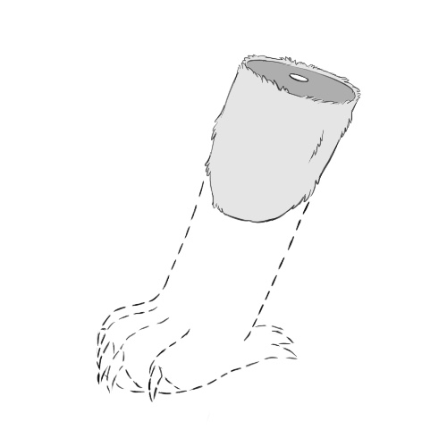 Missing Limb