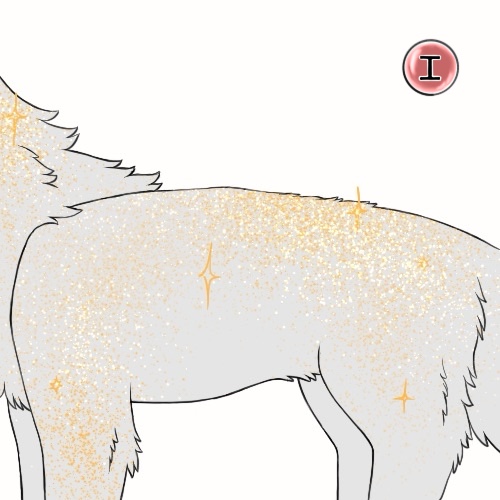 Sparkly Coat